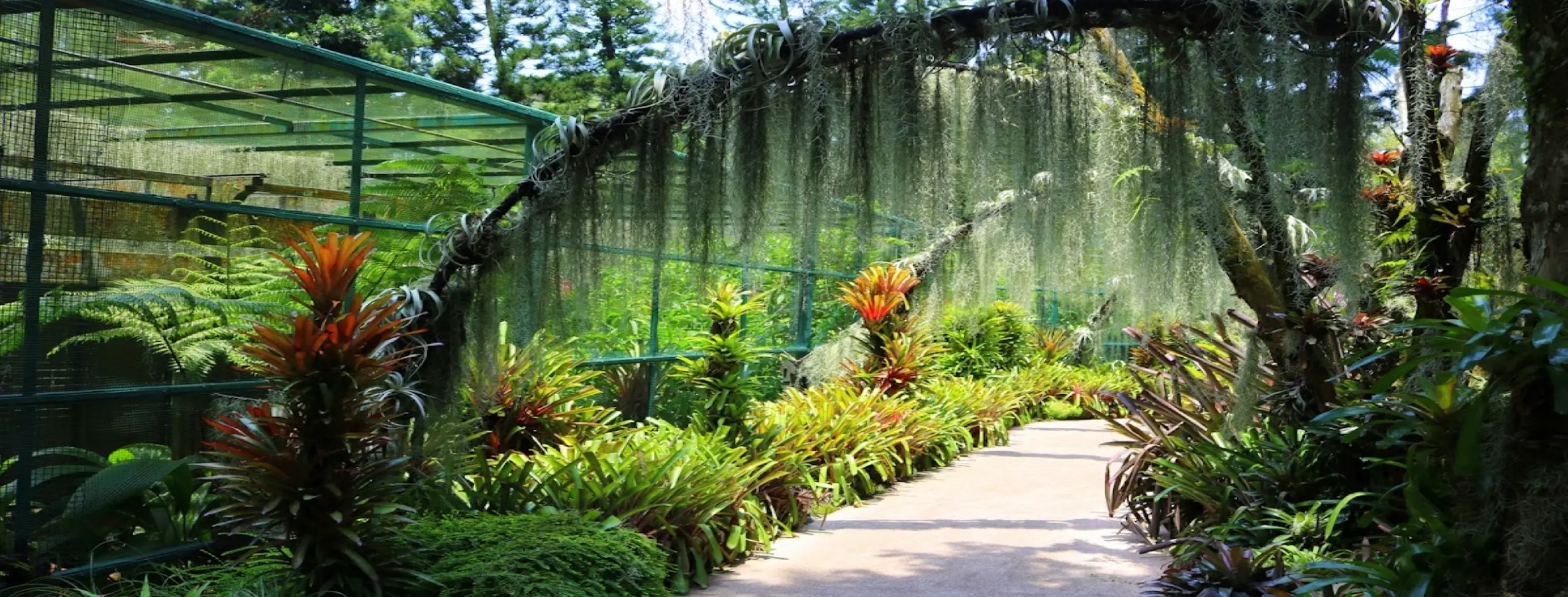 Image for Tianshui Botanical Garden